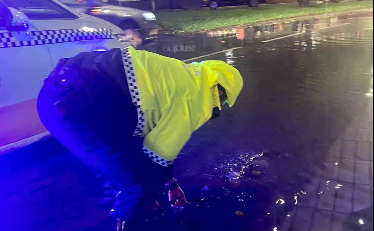 En la capital pacense se han vuelto a formar balsas de agua en algunos puntos como Sinforiano Madroñero o José María Alcaraz y Aloenda, obligando a la Policía Local a intervenir. 