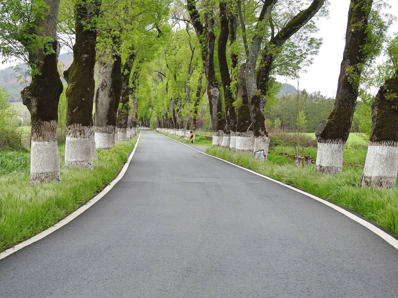 La carretera.