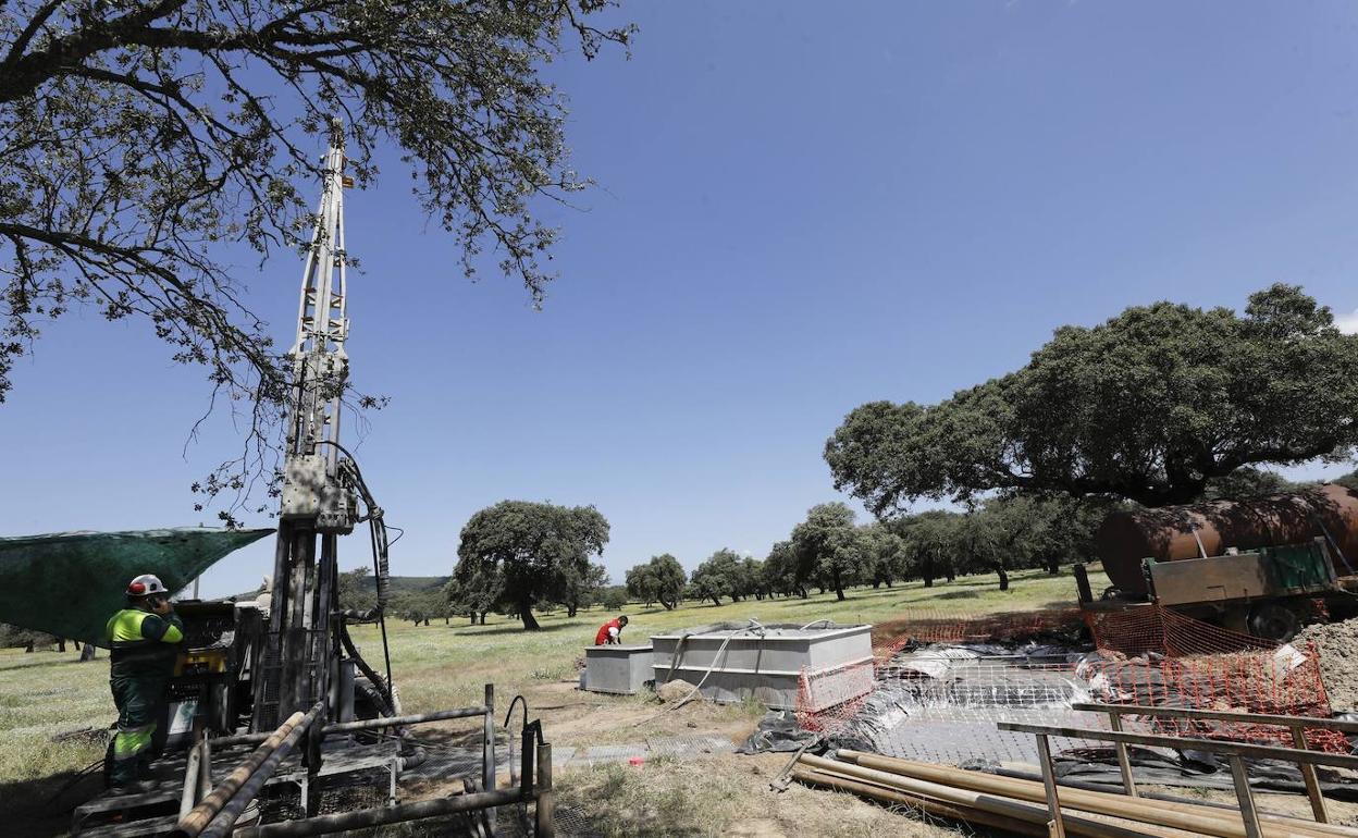 Imagen de archivo de trabajos de catas en la dehesa de Cañaveral en los terrenos previstos para la mina de litio. 