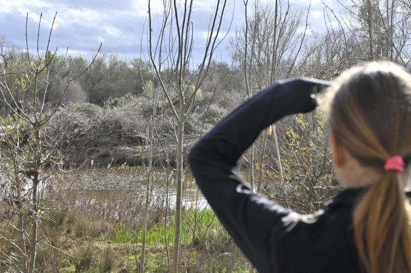 La crecida tumbó la vegetación de ribera, que sigue achaparrada.