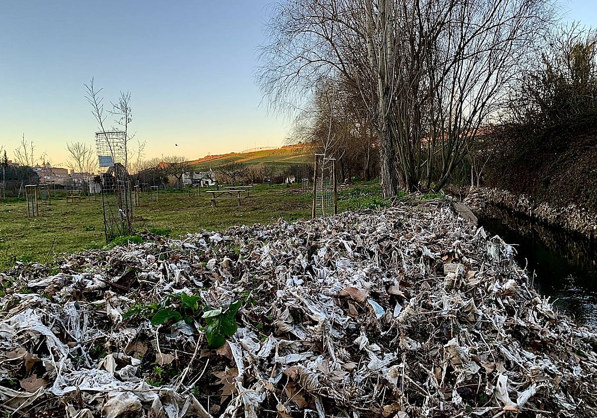 Zona de la Ribera del Marco repleta de toallitas.