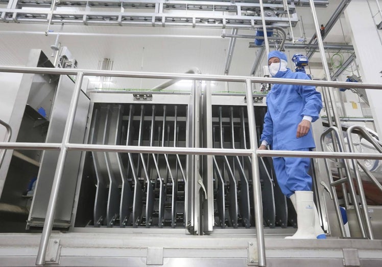 Un trabajador del matadero de ibérico.