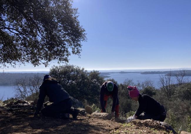 Trabajos de excavación.