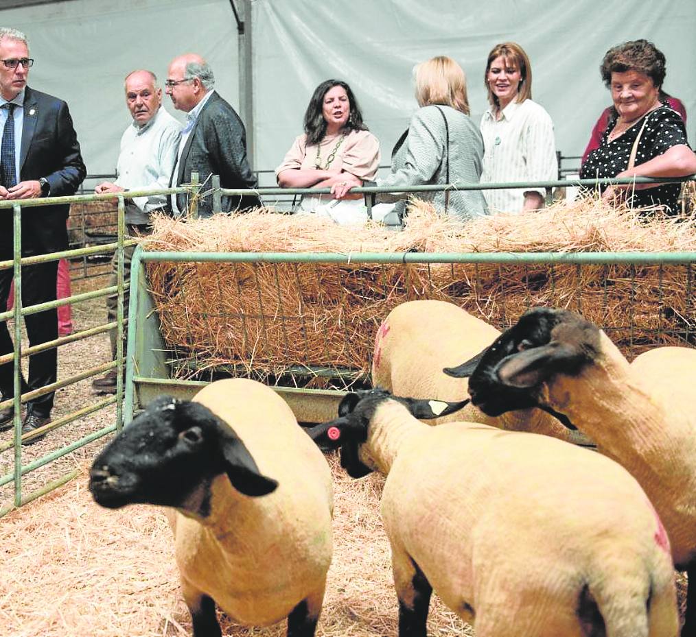 La Feria Ganadera se celebra en mayo.