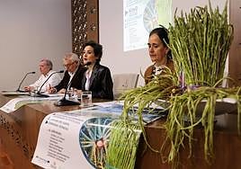 Momento de la presentación este miércoles de la Feria del Espárrago y la Tagarnina 2023.