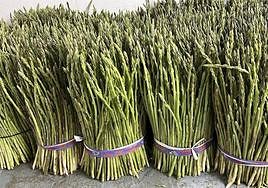 Manojos de espárragos recolectados para la Feria.