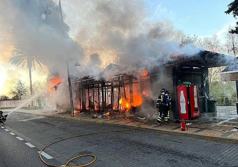 Los bomberos interviniendo este domingo por la mañana en el Paseo de Roma, en la parada central del autobús urbano.