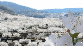 Planes alternativos para disfrutar la Semana Santa en Extremadura