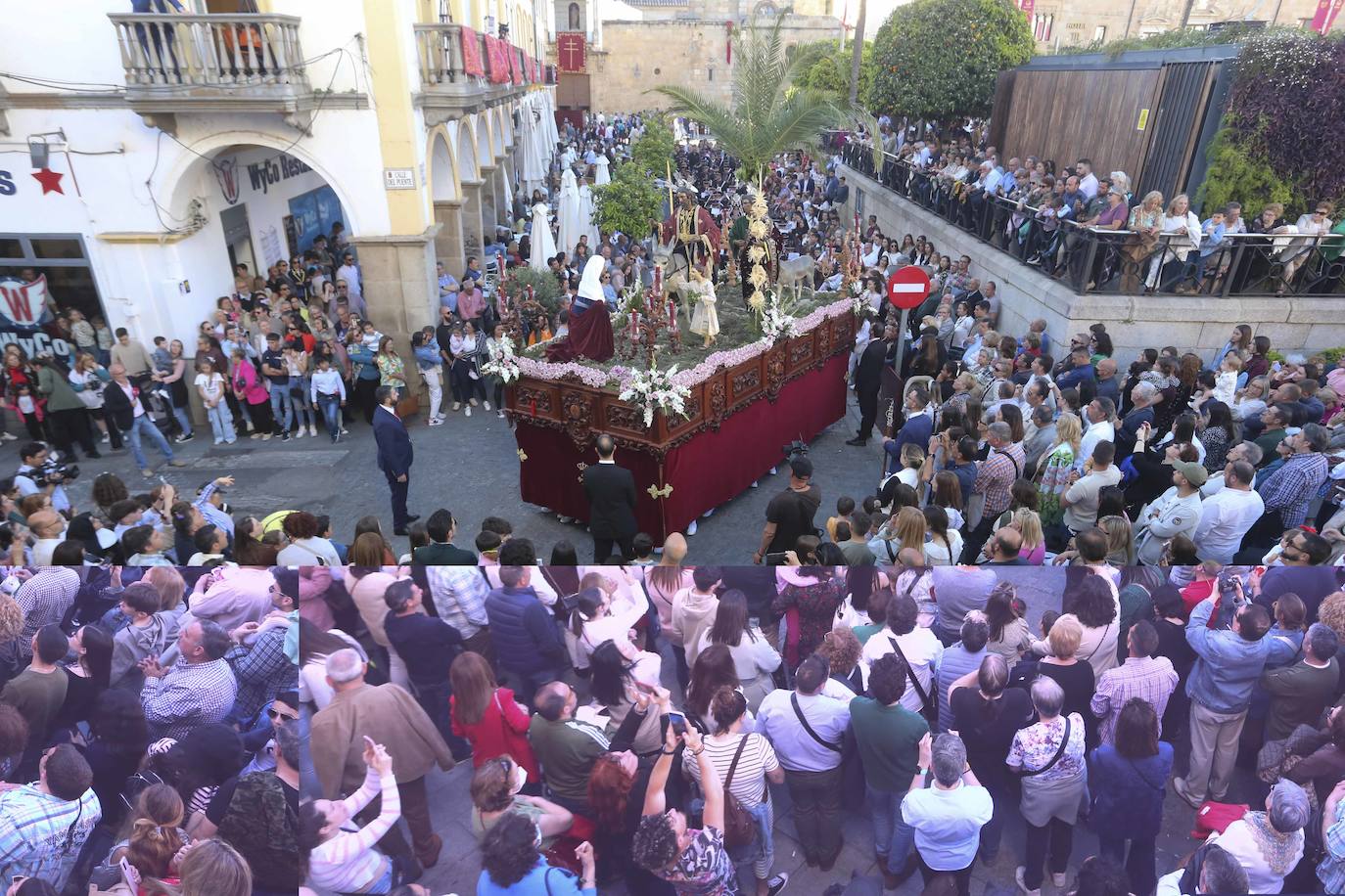 El Domingo de Ramos en Mérida, en imágenes