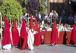 El Domingo de Ramos en Mérida, en imágenes