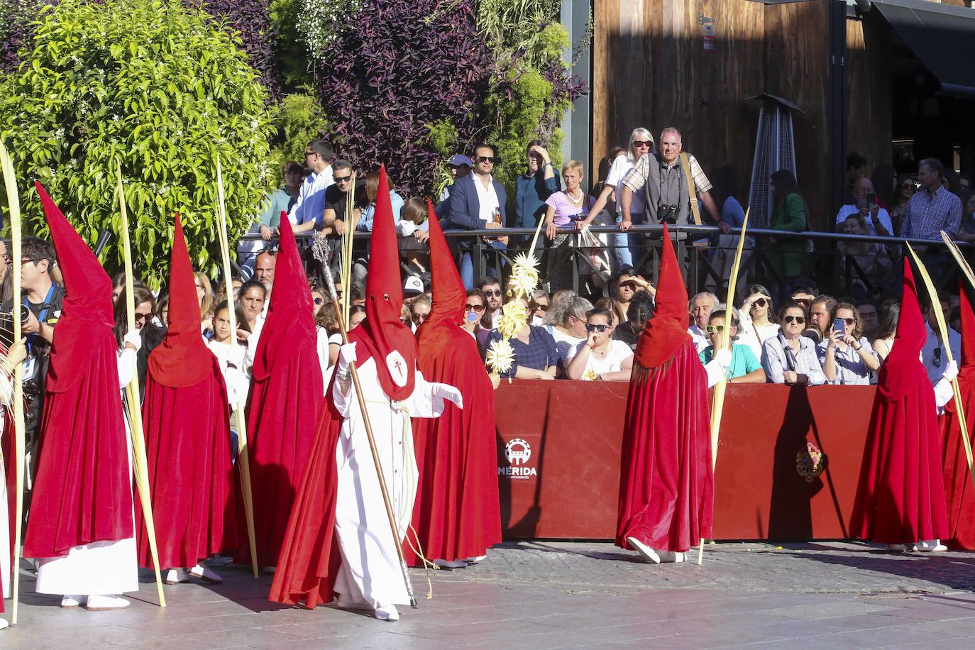 El Domingo de Ramos en Mérida, en imágenes