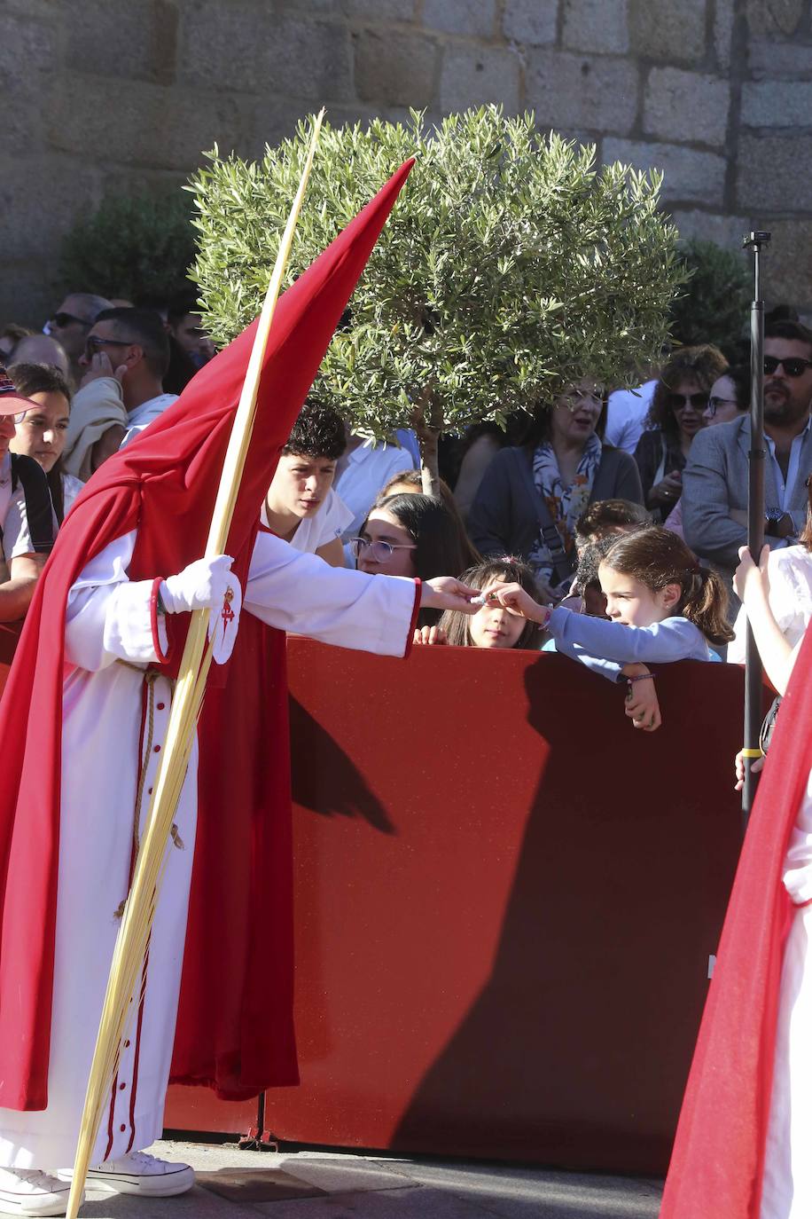 El Domingo de Ramos en Mérida, en imágenes