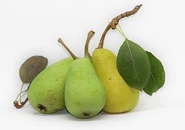 El reto de la producción ecológica