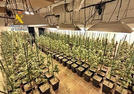 Plantación de marihuana desmantelada en un garaje de una vivienda de Castuera.