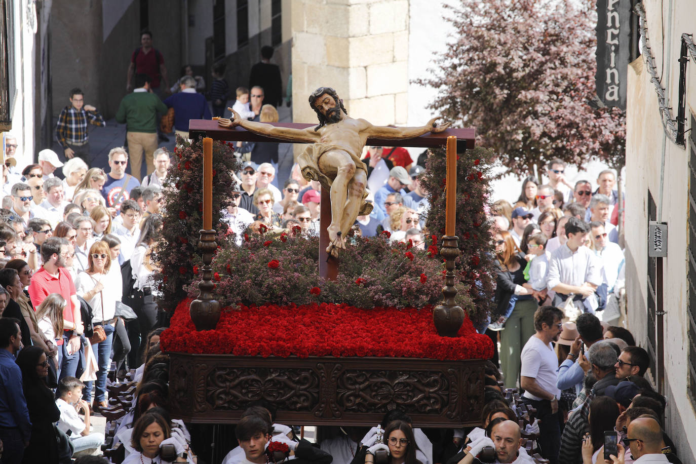 Franciscana Cofradía Penitencial del Vía Crucis y del Santísimo Cristo del Calvario (Estudiantes) con su único paso, el Santísimo Cristo del Calvario.