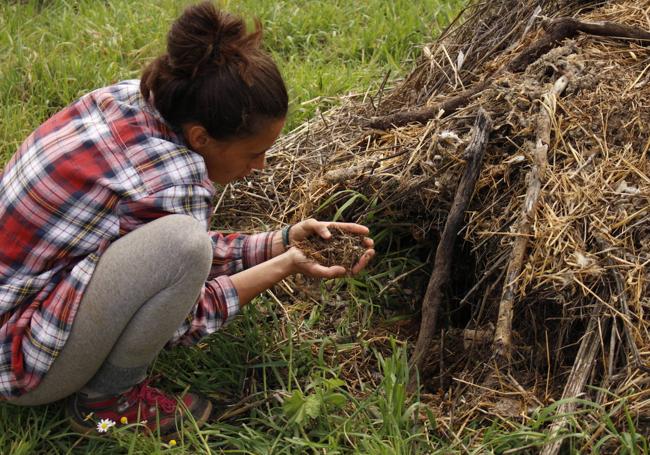 Minguell hace nidos de abono donde fermenta el compost que luego irá a clados microbianos.