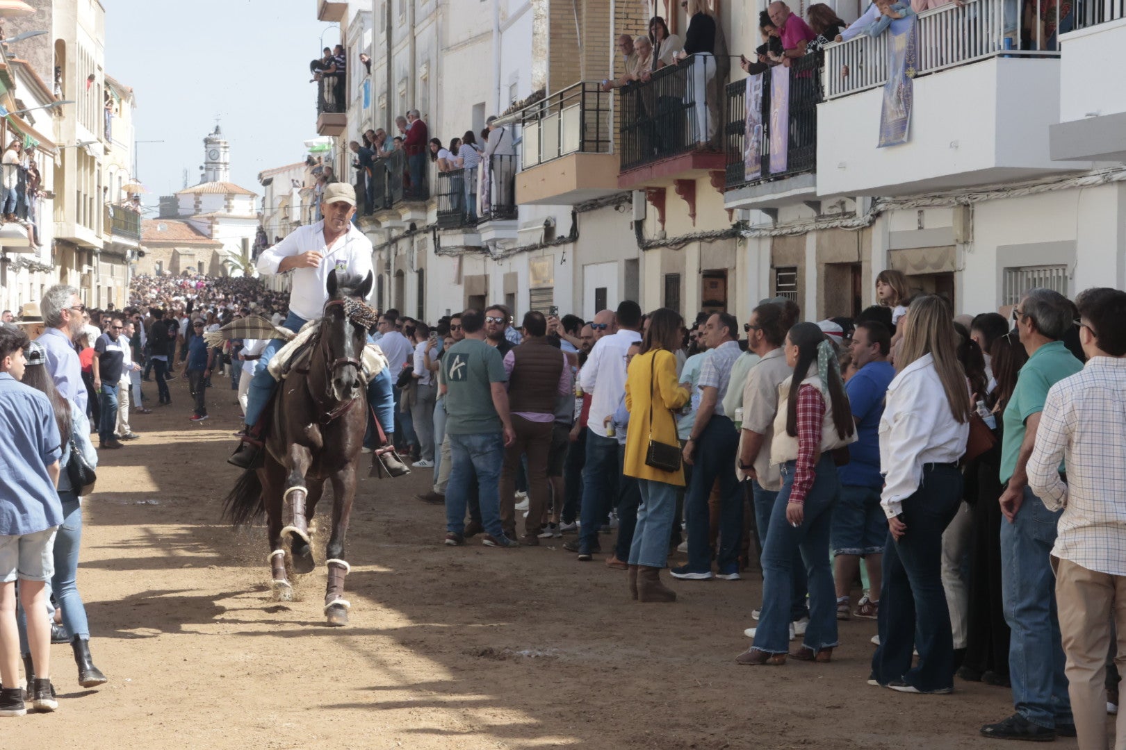 Las carreras de caballo de Arroyo de la Luz, en imágenes