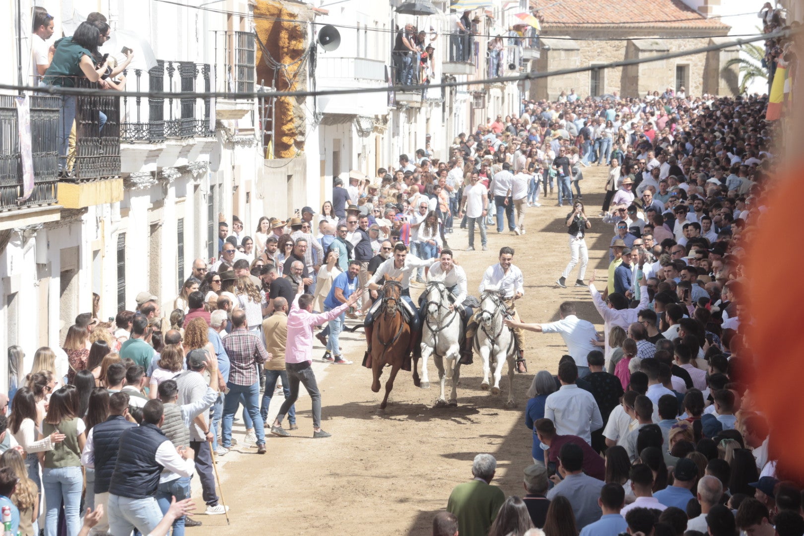 Las carreras de caballo de Arroyo de la Luz, en imágenes