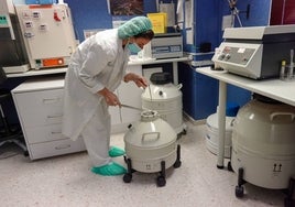 Una sanitaria trabajando en el Centro Extremeño de Reproducción Humana Asistida (Cerha), en Badajoz.