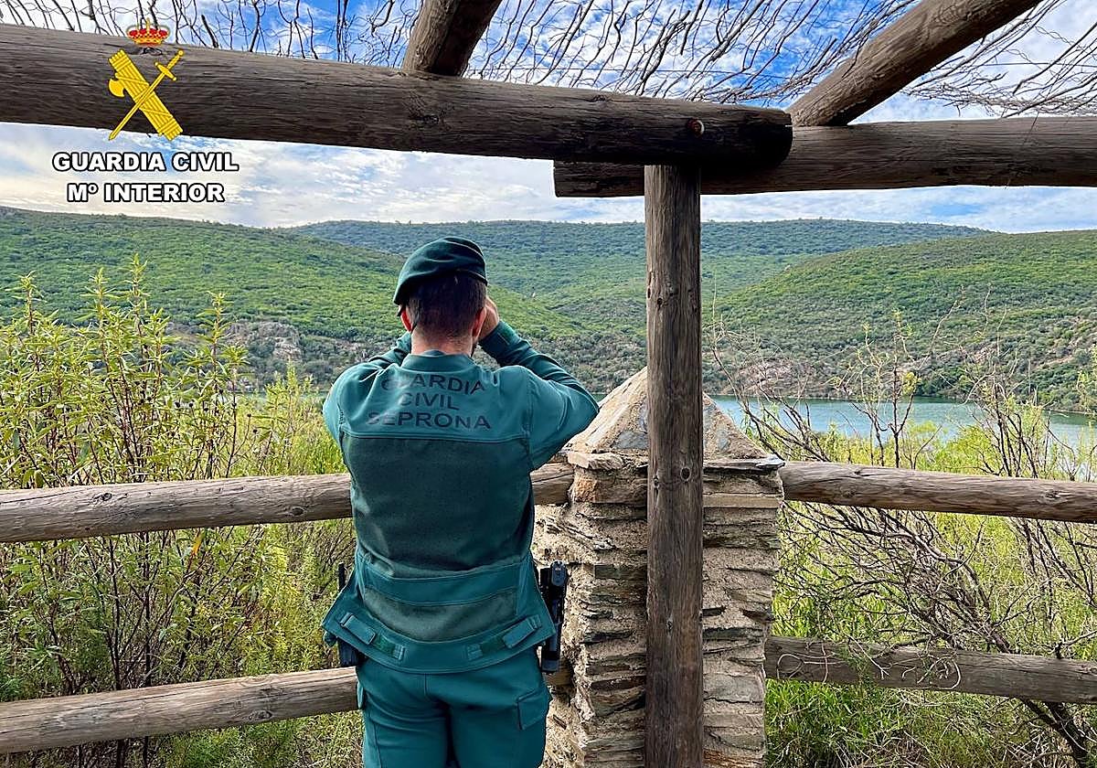 Un detenido y un investigado por caza furtiva en Monfragüe y Almaraz