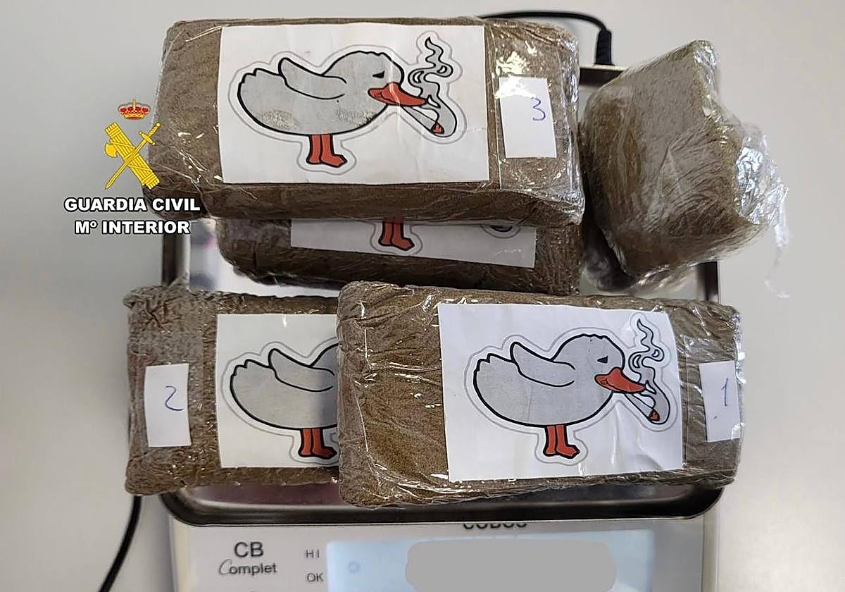 Droga arrojada por un conductor a la mediana de la A-66 por un conductor parado en la Autovía de la Plata.