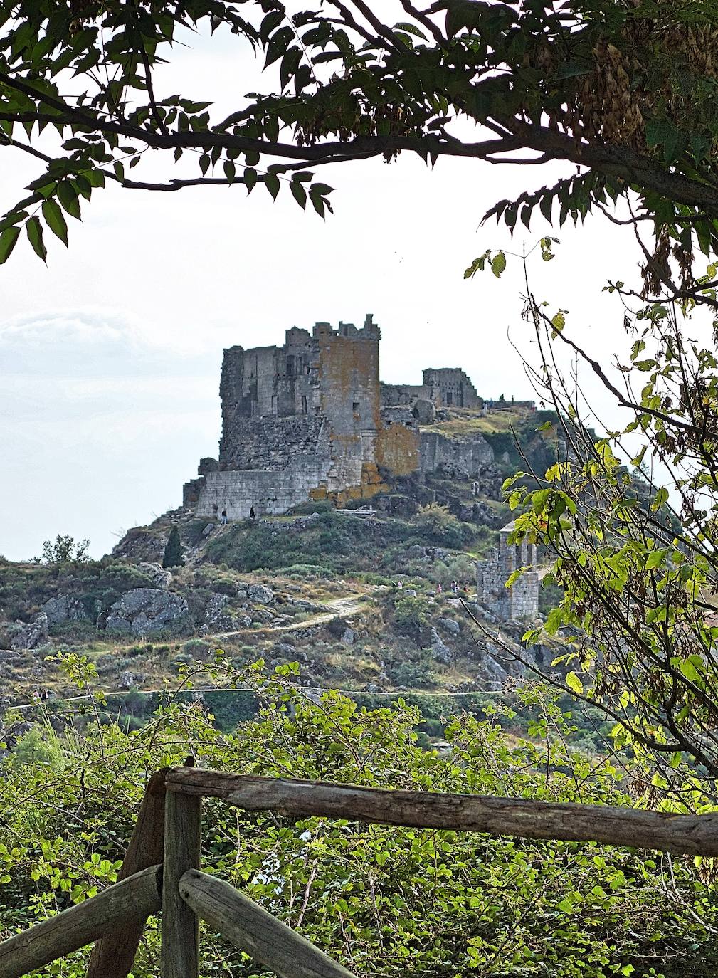 Camelios y casas de piedra