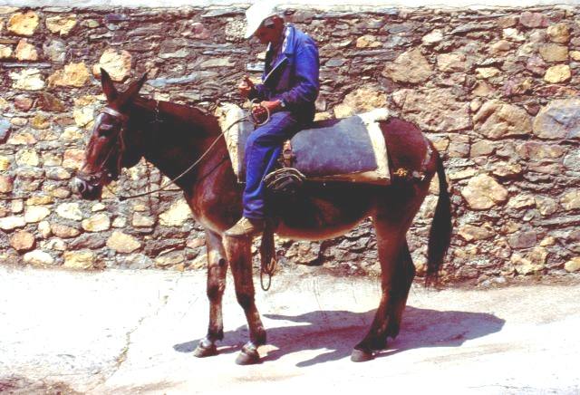 Fotografía de Berto que seguramente hizo en Berzocana. La tituló ‘Tú sabes el camino a casa’.