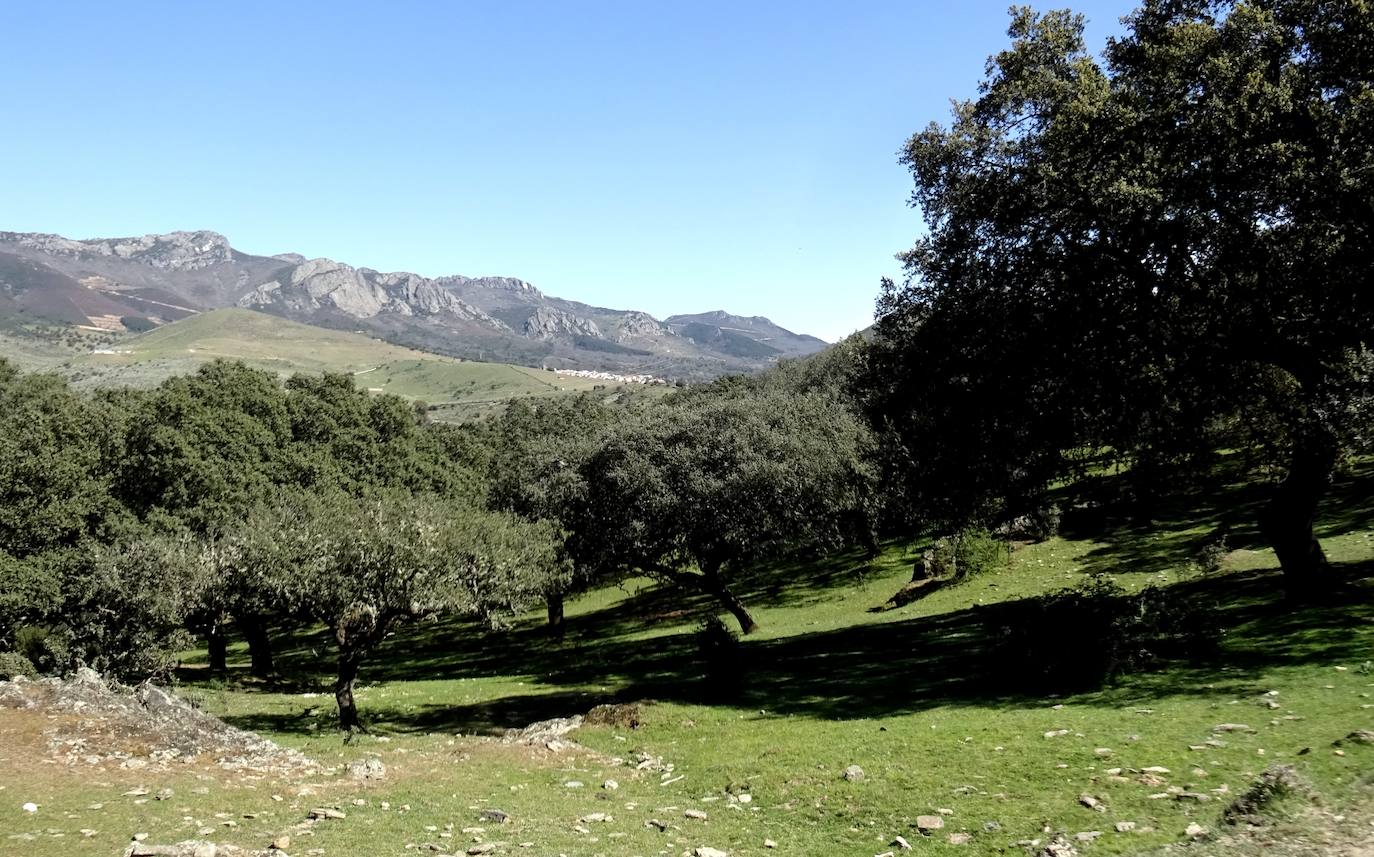 Vista desde el camino, con Berzocana al fondo.