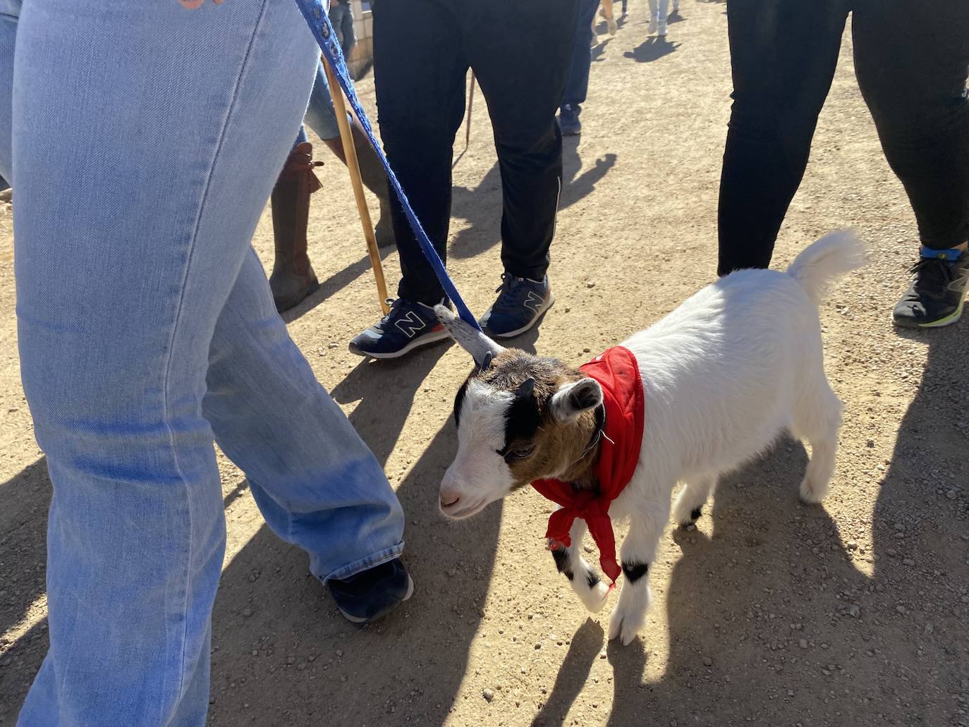 Romeros y carretas hacen el camino de San Marcos en Almendralejo (I)