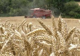 La extensión de estas exenciones dependerá también la duración del veto temporal al grano ucraniano que ha propuesta Bruselas.