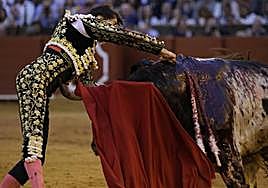 Espectacular estocada de Roca Rey a Cóndor, con el hierro de Toros de Cortés.