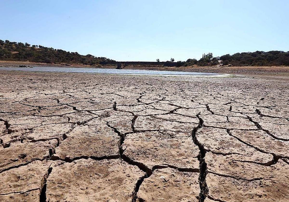 Efectos de la sequía de hace tres años en la presa de Cornalvo.