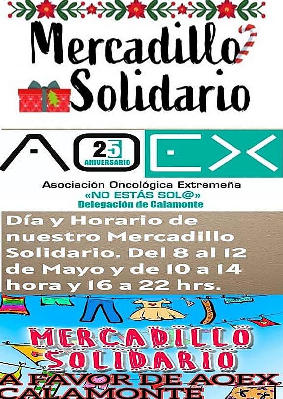 La Casa de Cultura acoge un mercadillo solidario a favor de AOEX