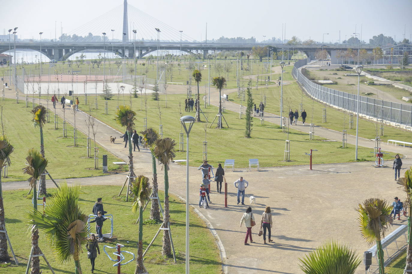 Parque de la Margen Derecha, donde se ubicará el parque de patinaje.