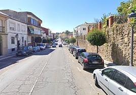 Avenida de la Constitución.