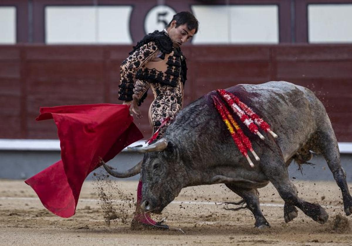 Un toro extraordinario de José Escolar | Hoy