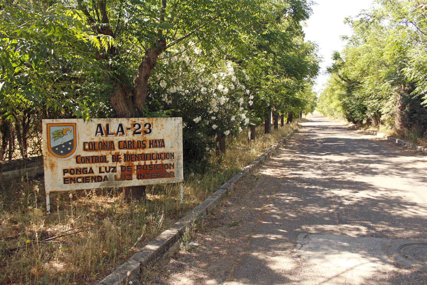 Avenida principal con las aceras llenas de maleza.