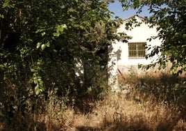 Una casa abandonada con las aceras llenas de maleza en Carlos Haya.