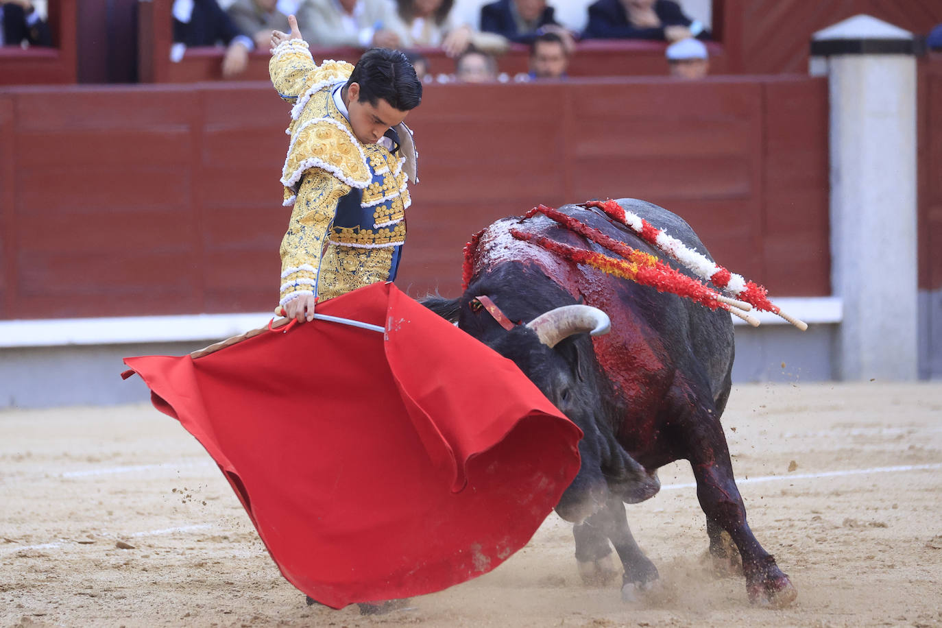 El novillero Mario Navas durante el séptimo festejo de San Isidro.