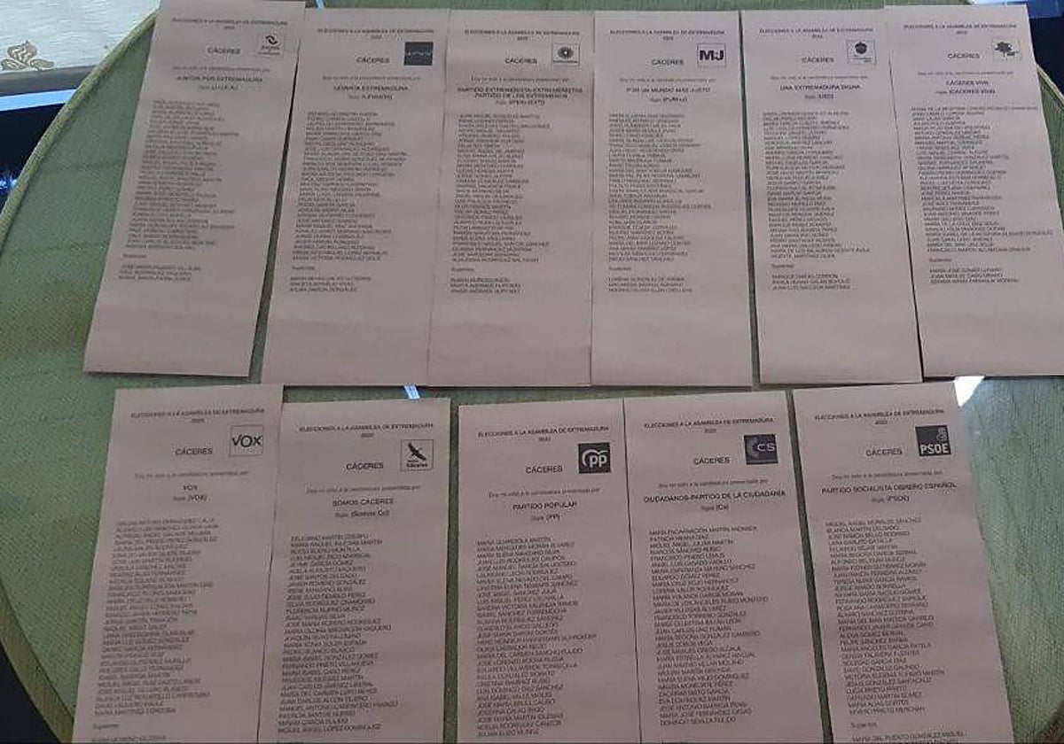 Foto divulgada por la candidata Irene de Miguel (Unidas por Extremadura) para denunciar el fallo.