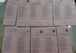 Foto divulgada por la candidata Irene de Miguel (Unidas por Extremadura) para denunciar el fallo.