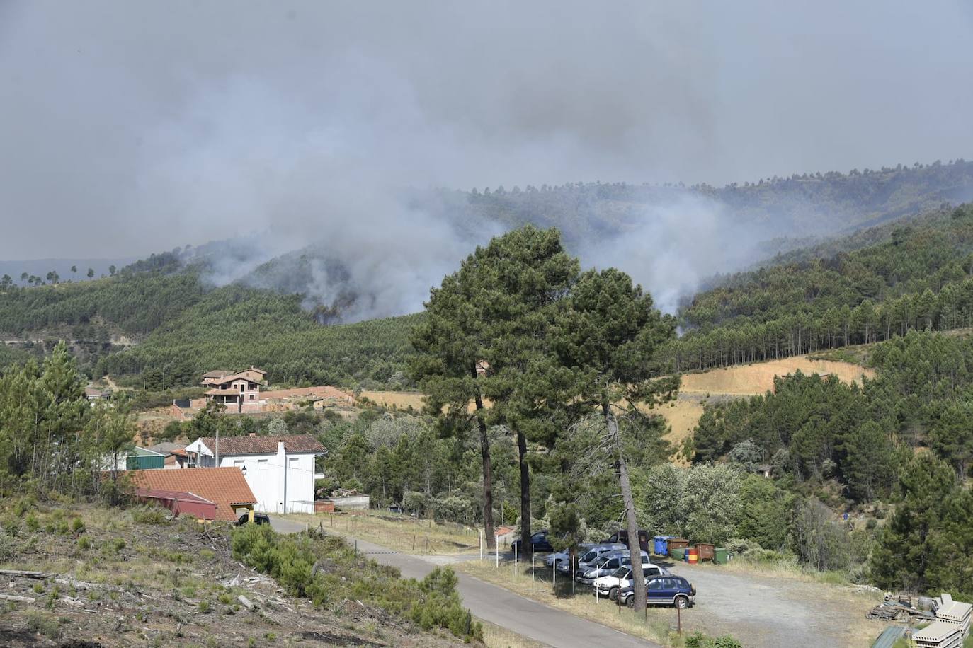 El incendio en Pinofranqueado, en imágenes