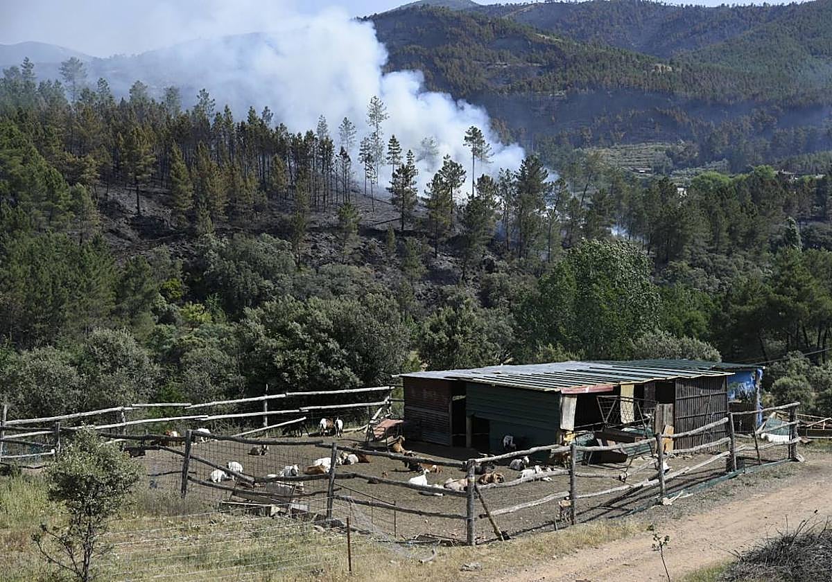El incendio en Hurdes y Sierra de Gata, en imágenes (IV)