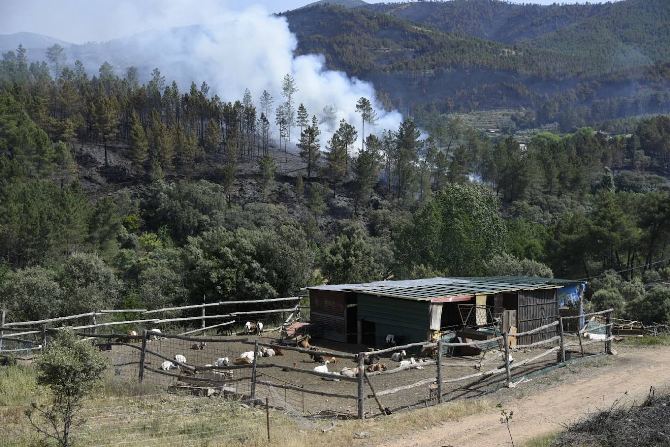 El incendio en Las Hurdes y Sierra de Gata, en imágenes (IV)