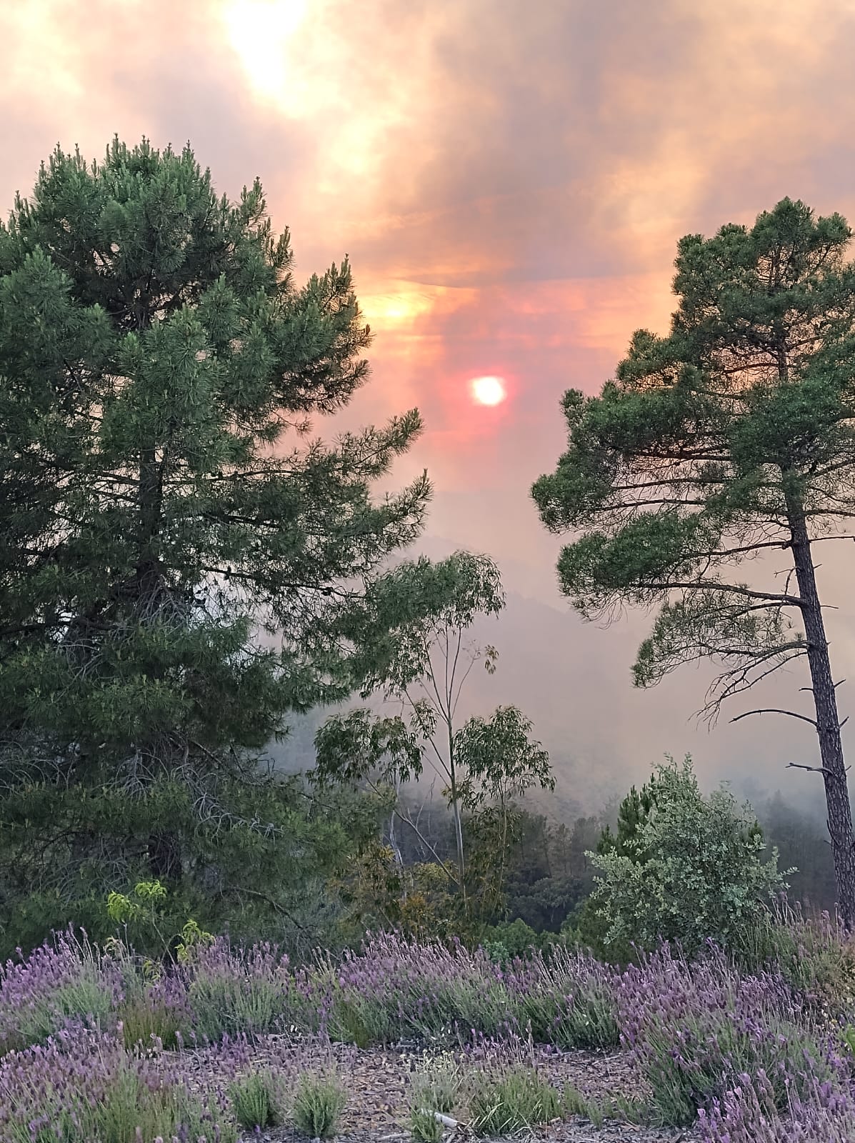 El fuego avanzó a Sierra de Gata