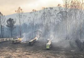 Mejoran las condiciones en el incendio de Las Hurdes y Sierra de Gata, que ha arrasado ya 12.000 hectáreas