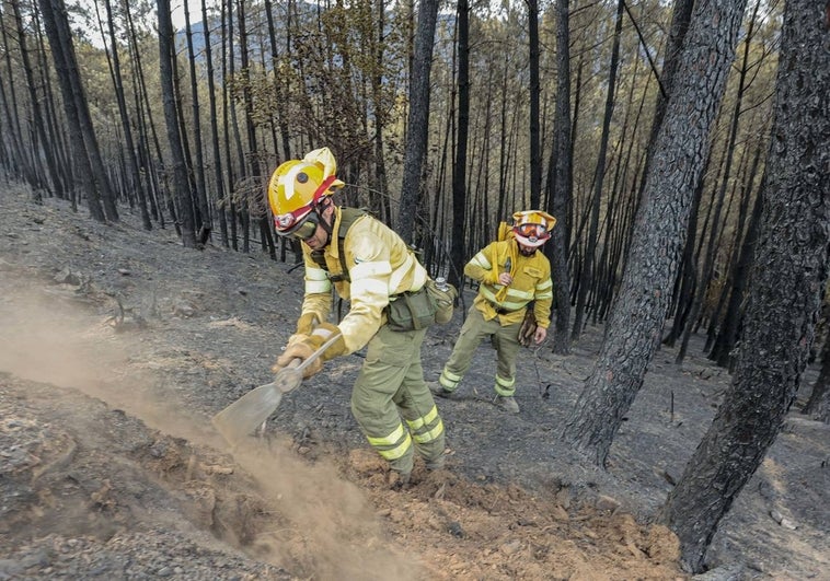 Bomberos forestales en la zona de Torrecilla de los Ángeles.