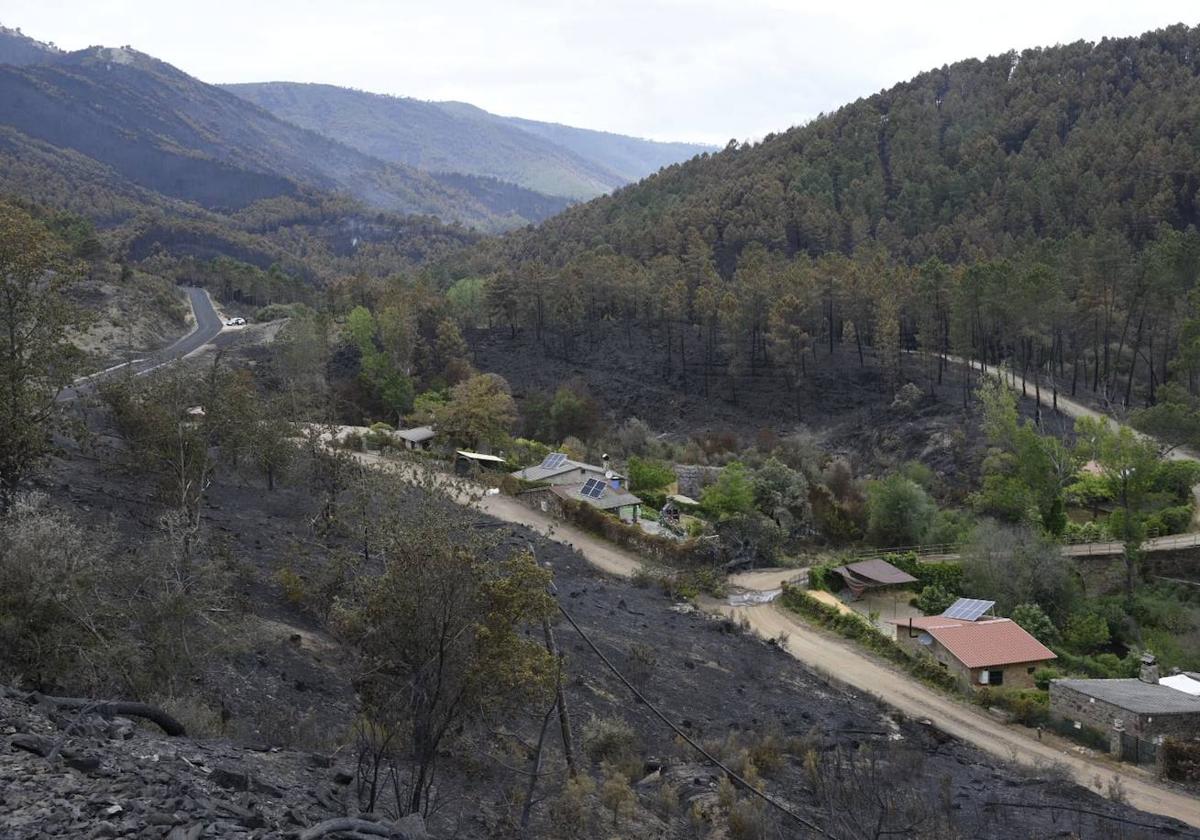 Imágenes de la zona quemada en Las Hurdes y Sierra de Gata por el fuego