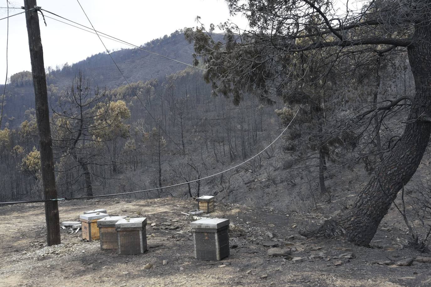 Imágenes de la zona quemada en Las Hurdes y Sierra de Gata por el fuego