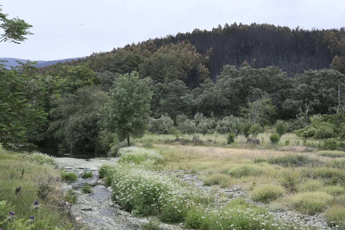 Imágenes de la zona quemada en Las Hurdes y Sierra de Gata por el fuego